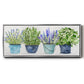 Fresh Herb Collection - Floater Framed Canvas Print