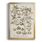 Sepia Botanical Journal II - Modern Framed Canvas Print