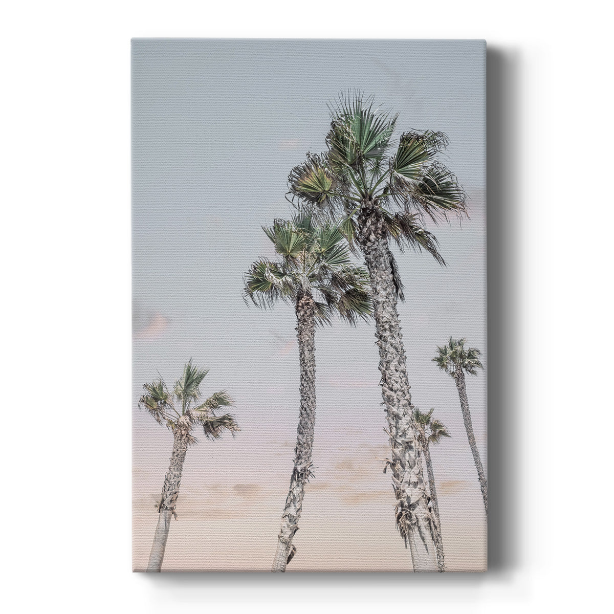 Palms Up - Canvas Art Print