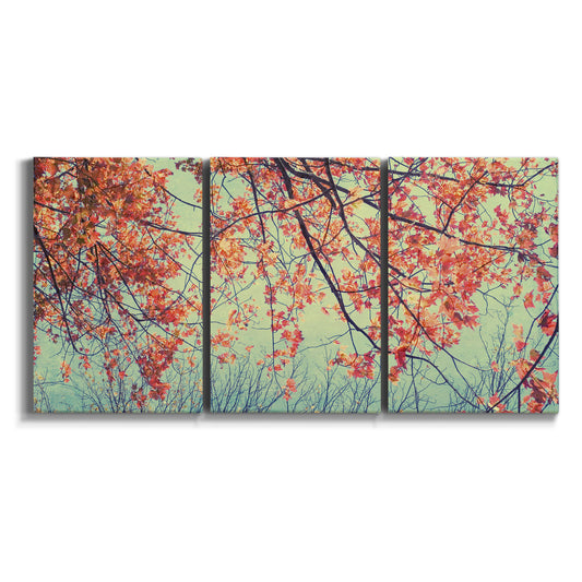 Three-panel canvas wall art featuring autumn foliage landscape photograph on white background.
