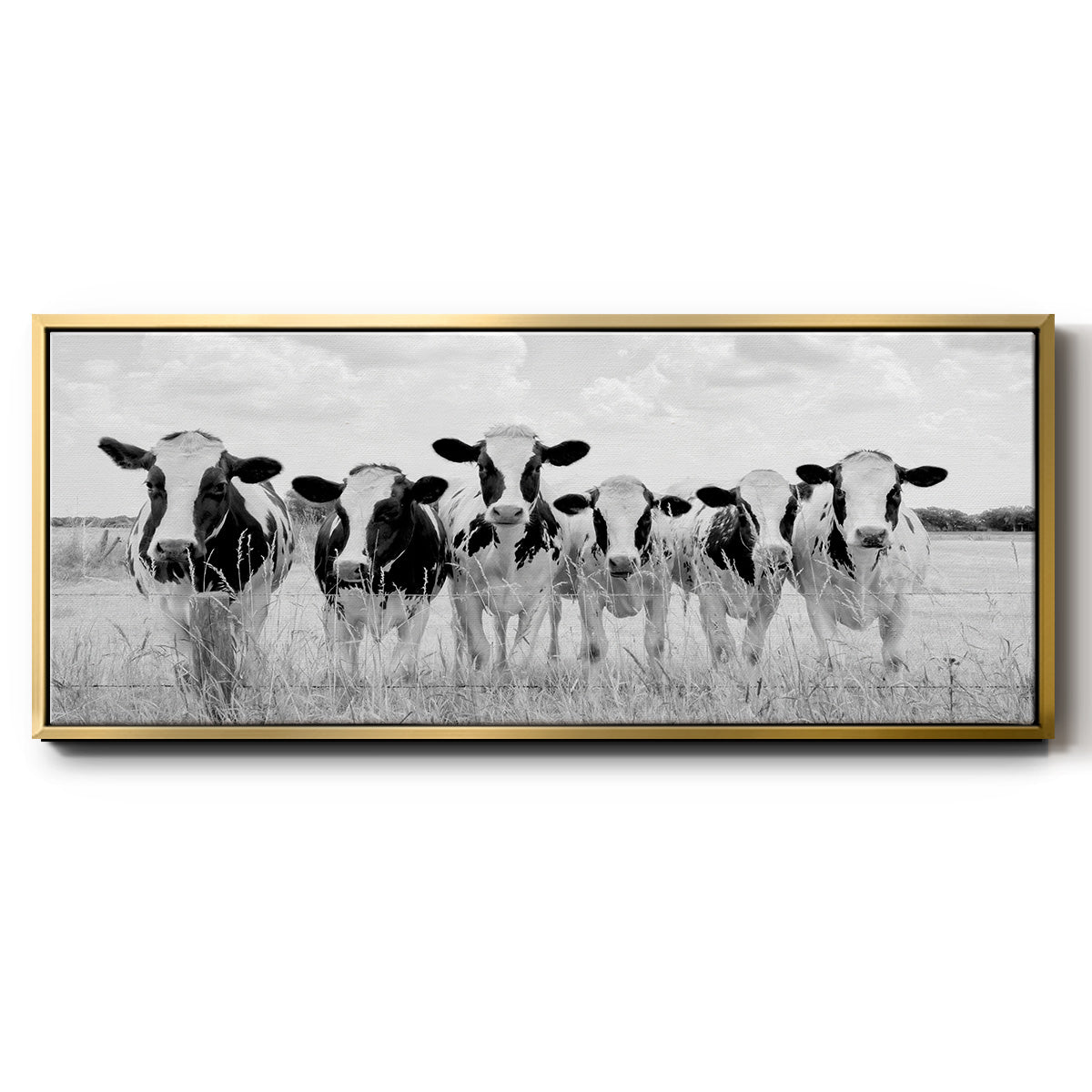 Grazing Pasture - Floater Framed Canvas Print