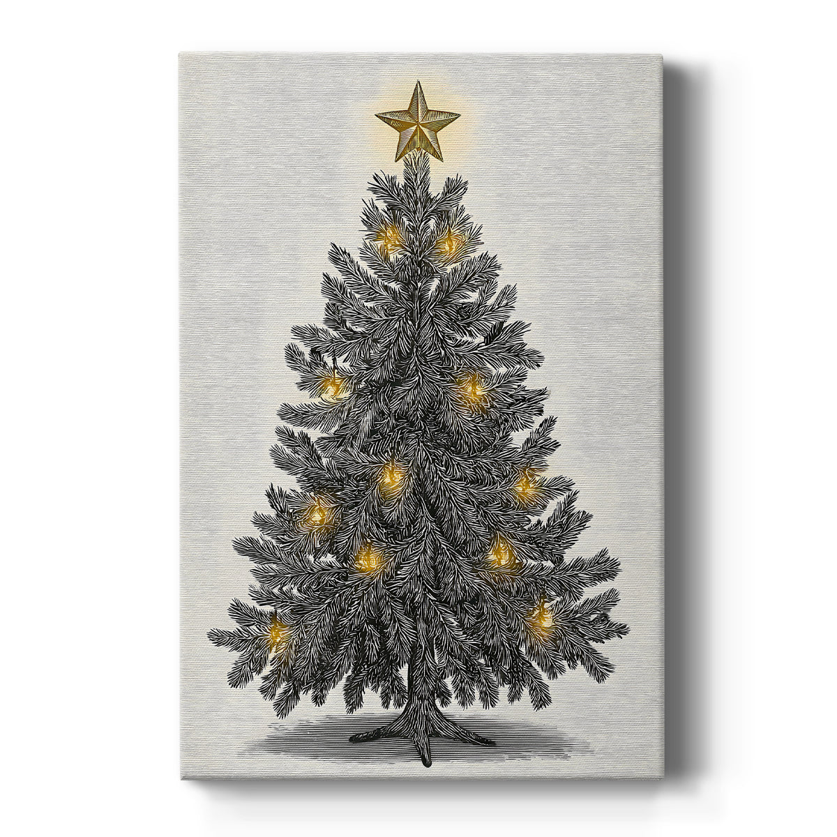 Pearled Evergreen at Midnight - Canvas Art Print
