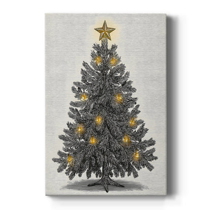 Pearled Evergreen at Midnight - Canvas Art Print