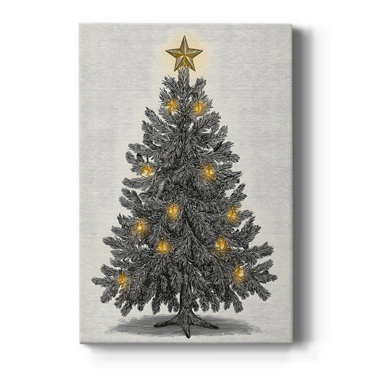 Pearled Evergreen at Midnight - Canvas Art Print