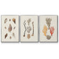 Knorr Shells & Coral IV - Framed Premium Gallery Wrapped Canvas L Frame 3 Piece Set - Ready to Hang