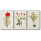 Flowers of the Seasons VI - Floater Framed Canvas Set