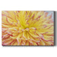 Blooms III Premium Gallery Wrapped Canvas - Ready to Hang