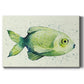 Speckled Freshwater Fish II Premium Gallery Wrapped Canvas - Ready to Hang