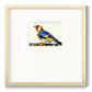 Blue Gold Finch Premium Framed Print Double Matboard