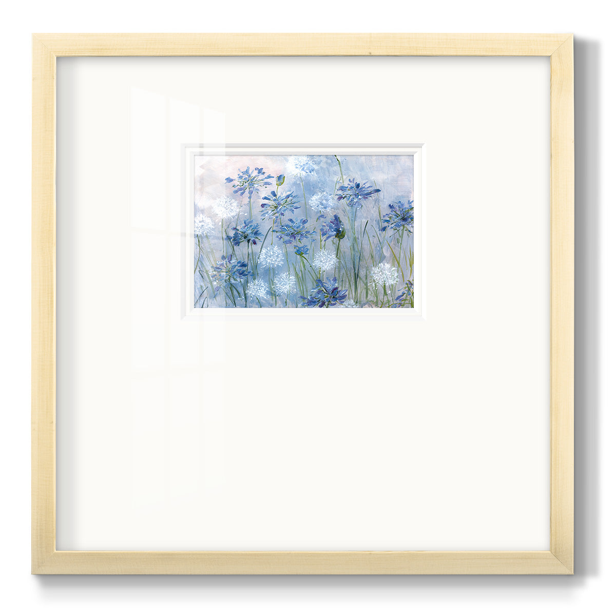 Dandelion and Agapanthus Premium Framed Print Double Matboard