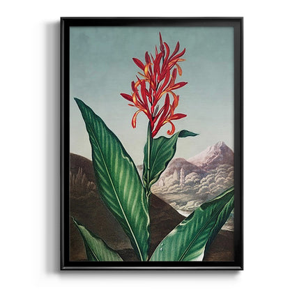 Temple of Flora I - Modern Framed Canvas Print