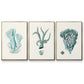 Antique Coastal Coral X - Framed Premium Gallery Wrapped Canvas L Frame 3 Piece Set - Ready to Hang