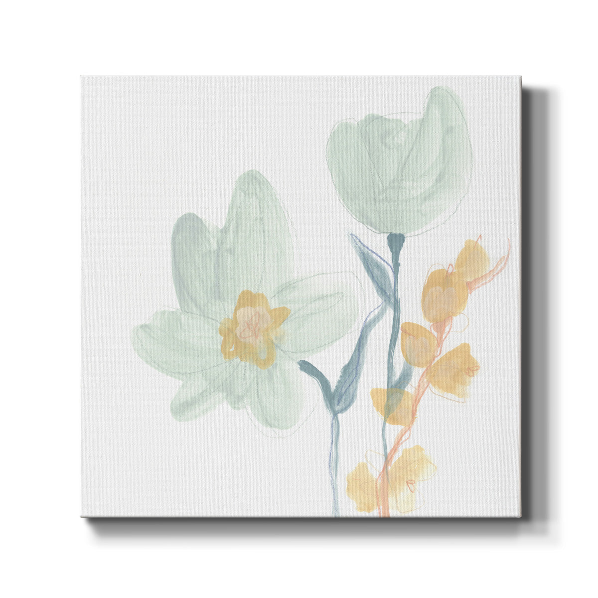 Petite Petals IX - Canvas Art Print