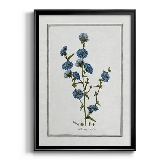 Soft Botanical I - Modern Framed Canvas Print