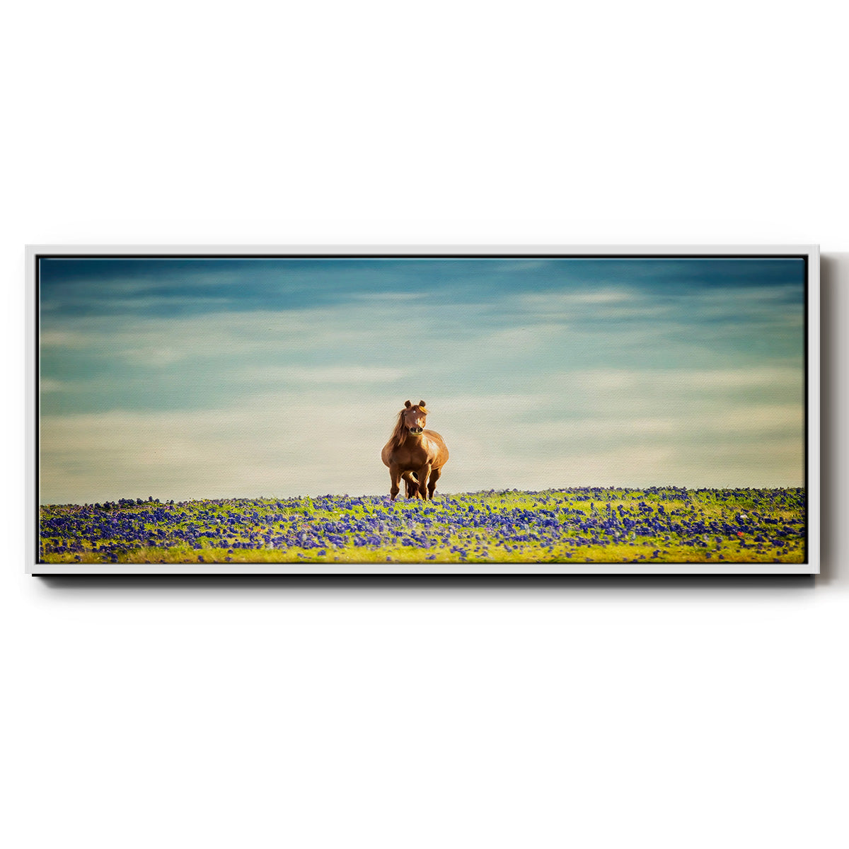 Sunlit Midwest II - Floater Framed Canvas Print