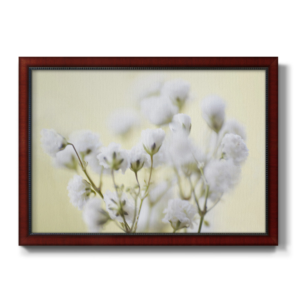 Baby's Breath Study IV Premium Framed Canvas- Ready to Hang