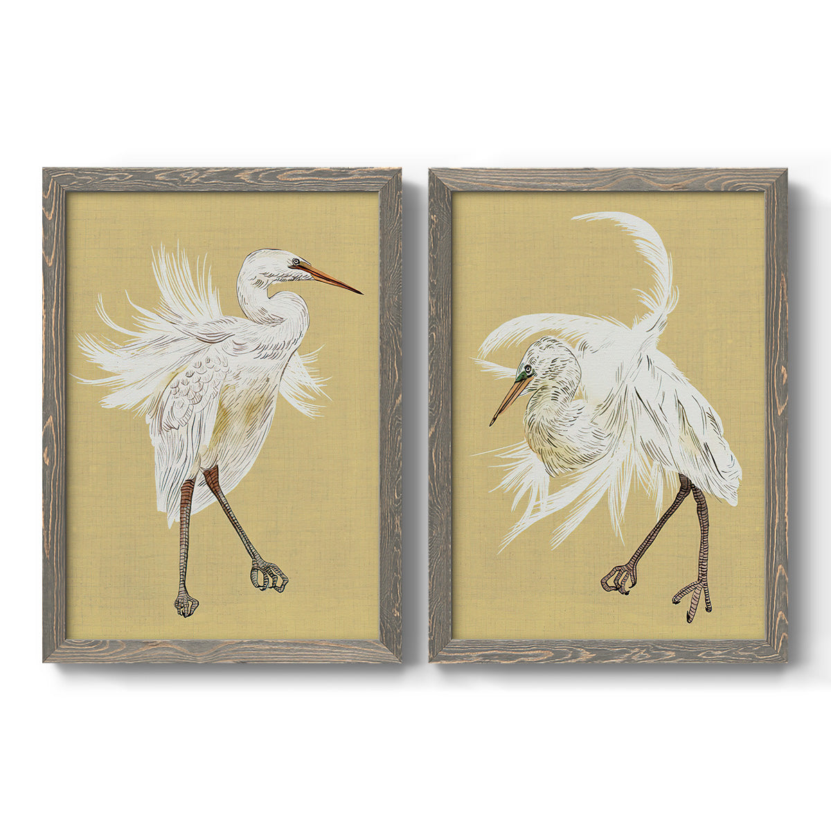 Heron Plumage V - Premium Framed Canvas 2 Piece Set - Ready to Hang