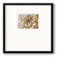 Neutral Wall Flower III - Double Matboard Framed Print