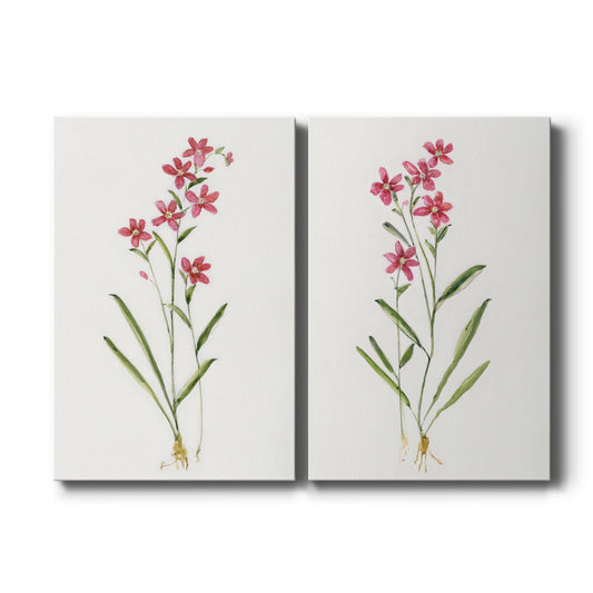 Delicate Pink I Premium Gallery Wrapped Canvas - Ready to Hang - Set of 2 - 8 x 12 Each