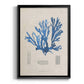 Blue Marine Algae IX -  Framed Canvas Print