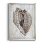 Ocean Cone II - Modern Framed Canvas Print