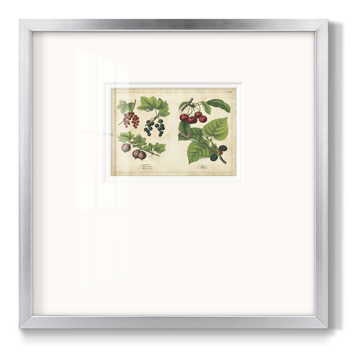 Kitchen Fruits III - Double Matboard Framed Print