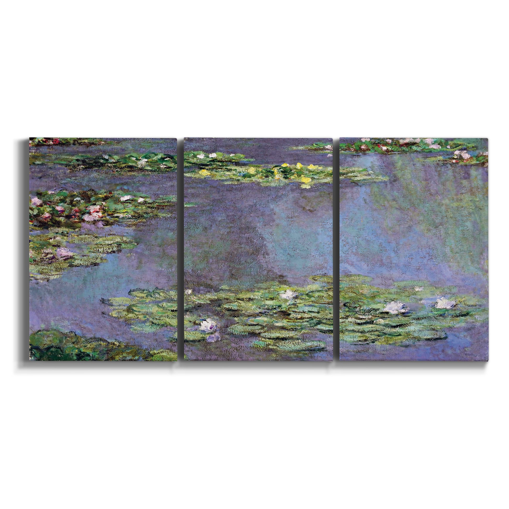 Three-panel canvas wall art featuring purple haze water lily pond on white background.