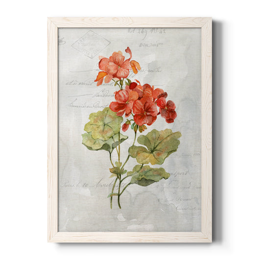 Linen Geranium - Barnwood Framed Canvas Print