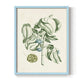 Buchoz Tropicals V - Restickable Framed Art Print