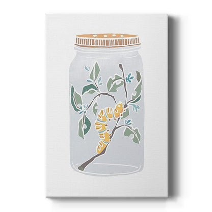 Nature Jar IV - Canvas Art Print
