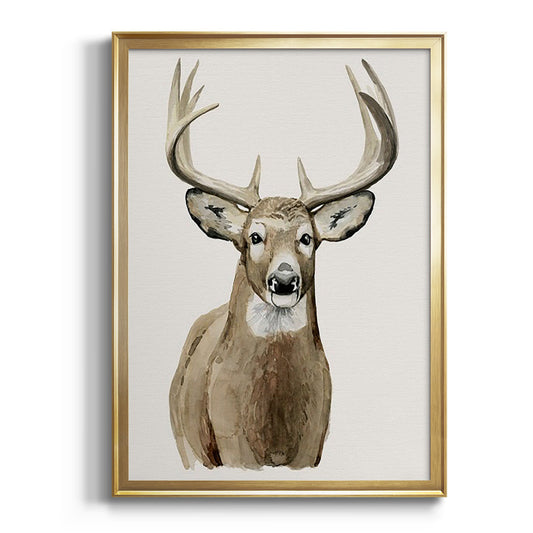 Handsome Whitetail II - Modern Framed Canvas Print