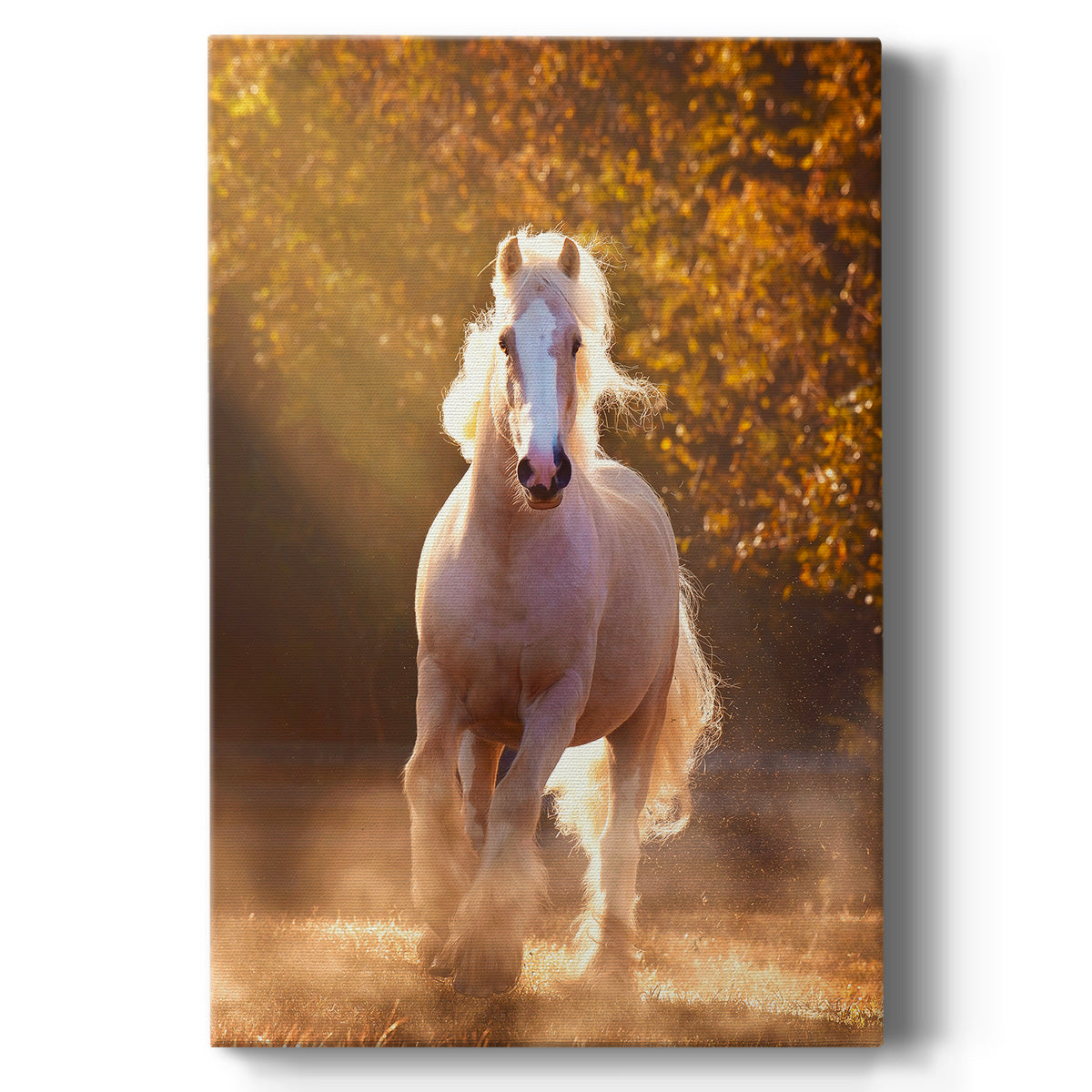 Horse Motion VIII Premium Gallery Wrapped Canvas - Ready to Hang