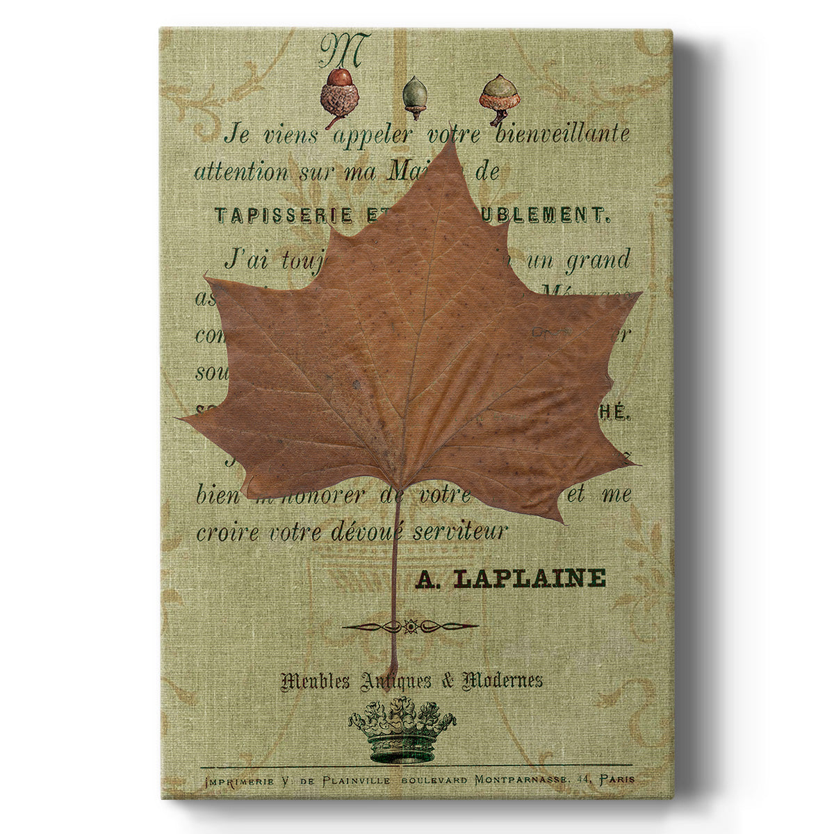 Autumn Leaf II Premium Gallery Wrapped Canvas - Ready to Hang