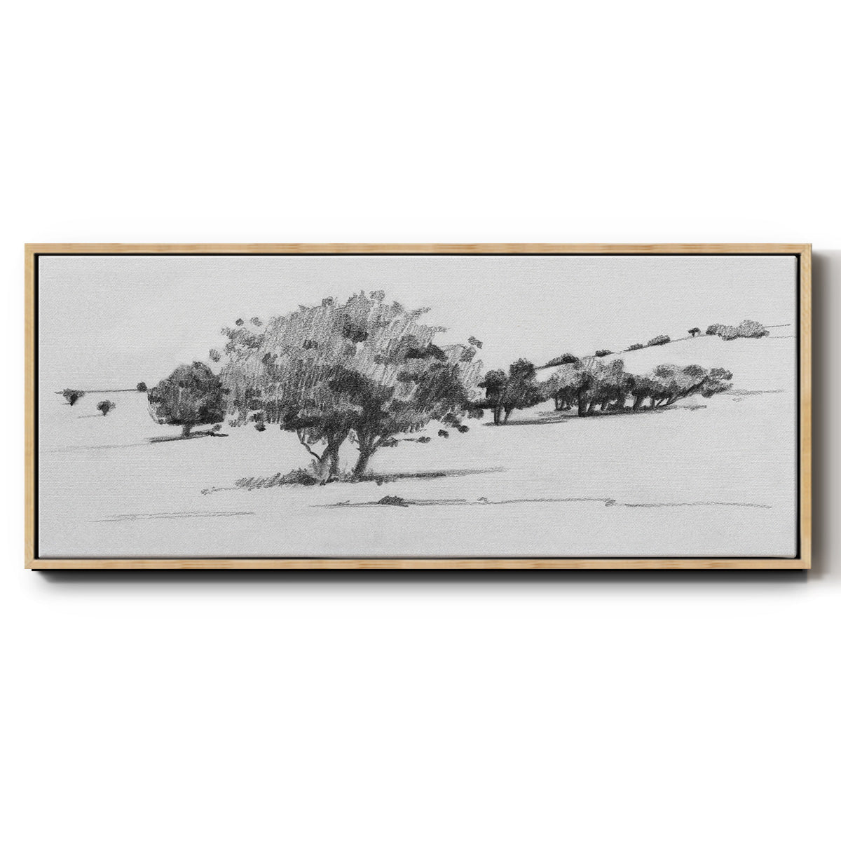 Treeline Sketch I - Floater Framed Canvas Print