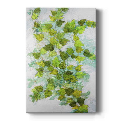 Ivy - Canvas Art Print