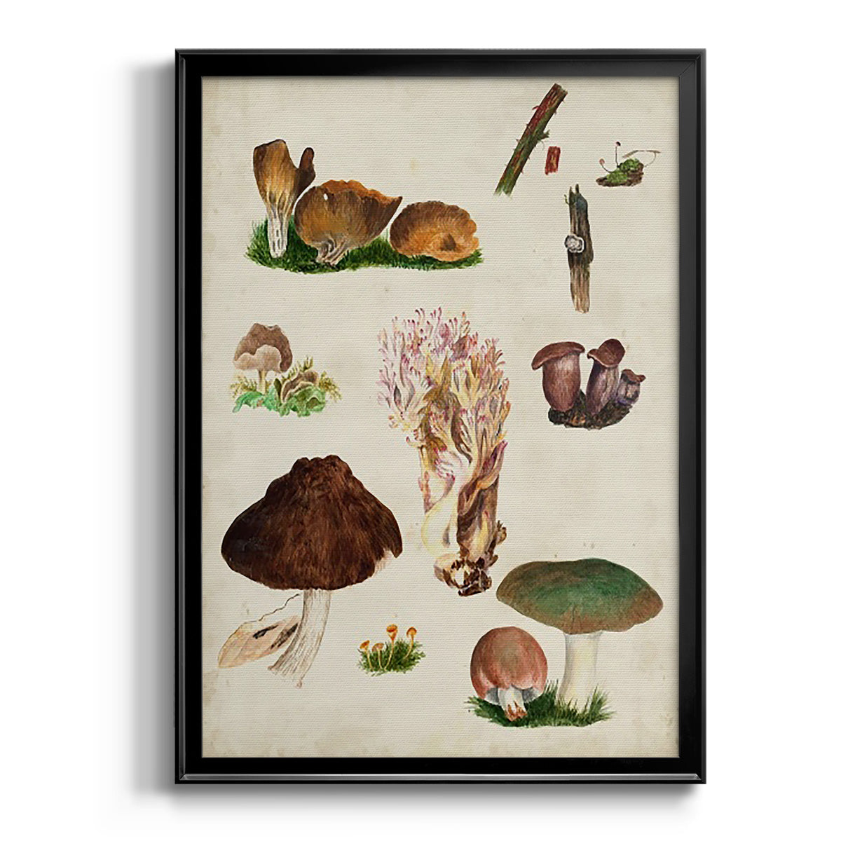 Mushroom Species IX - Modern Framed Canvas Print