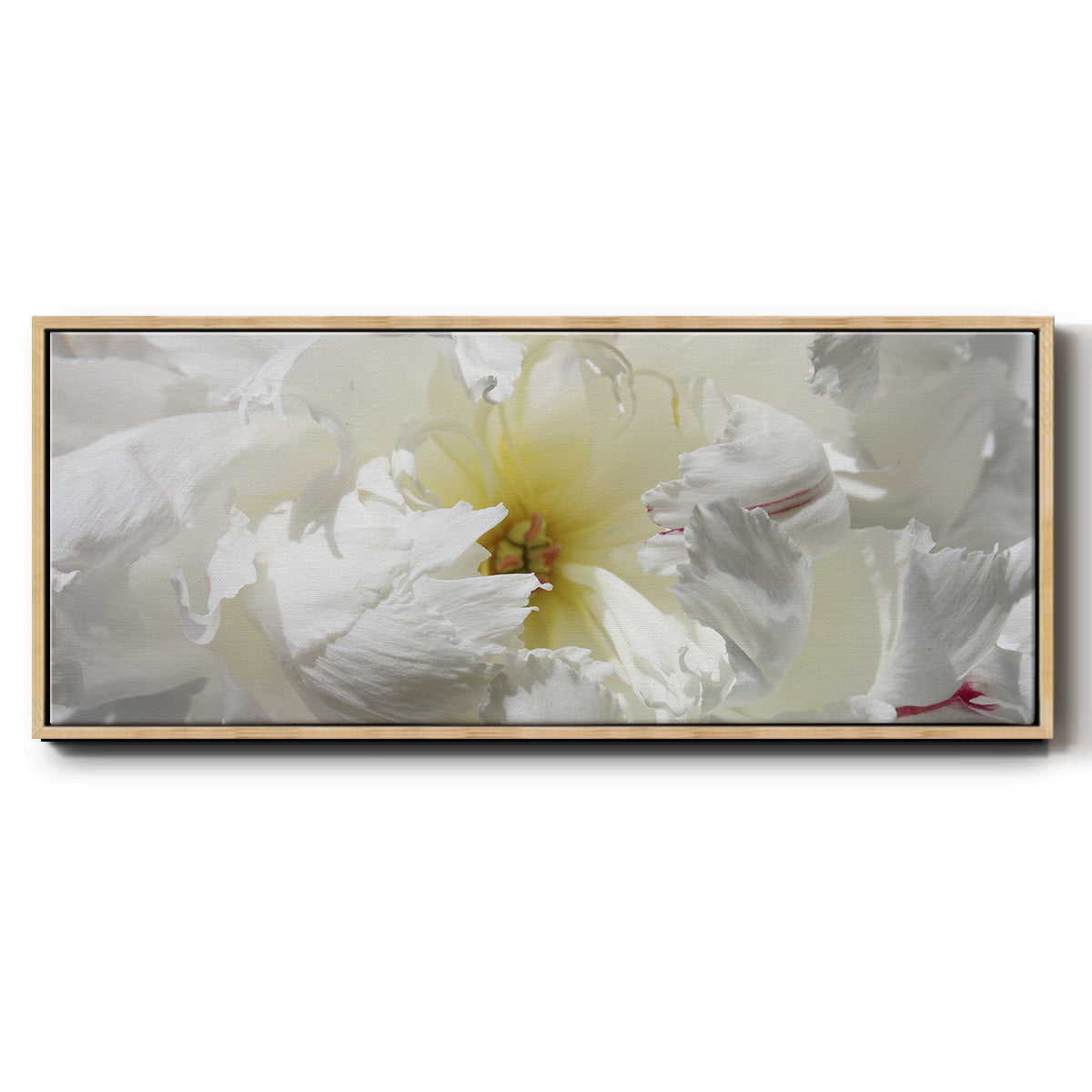 Breathless II - Floater Framed Canvas Print