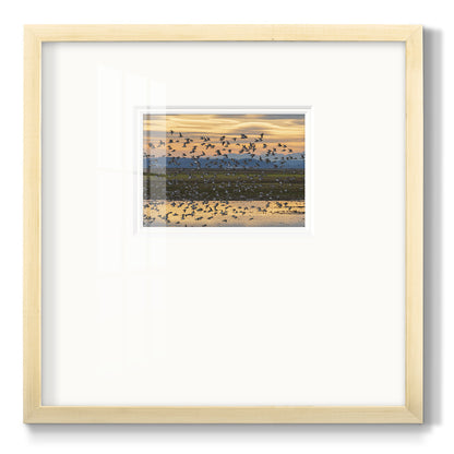 Sunset Flight - Double Matboard Framed Print