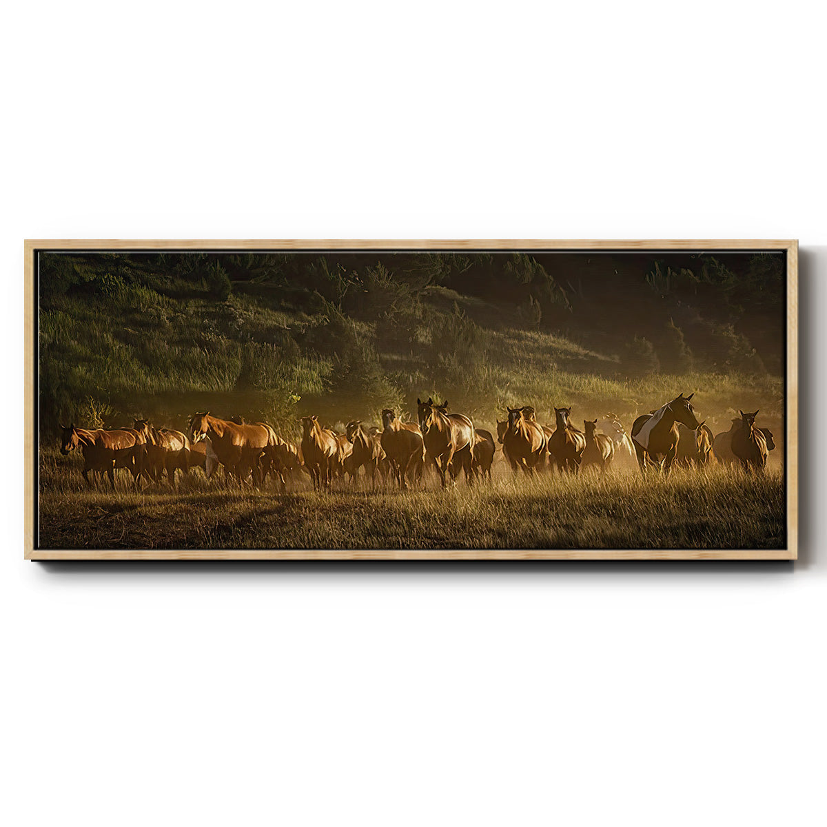 Wild and Free III - Floater Framed Canvas Print