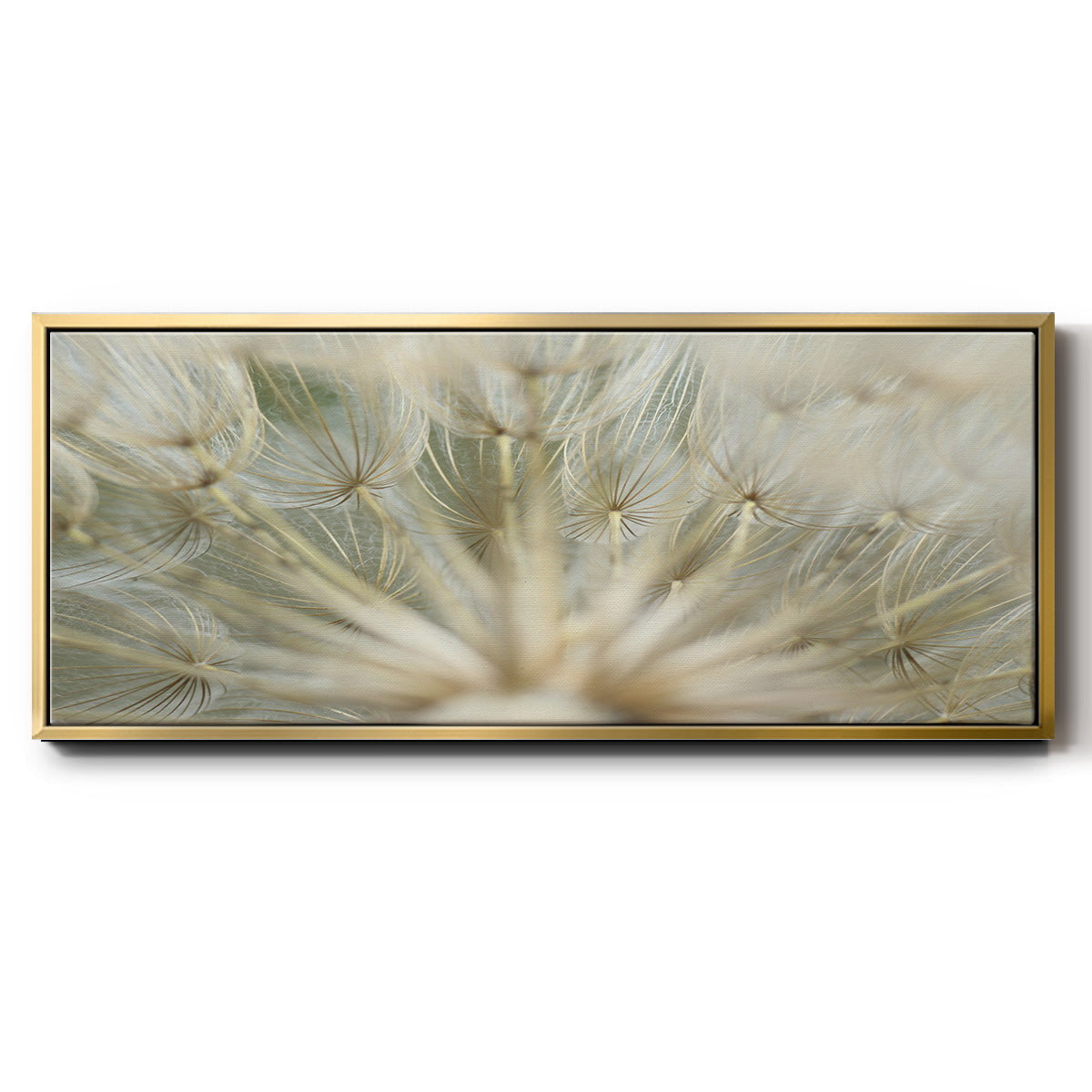 Macro Dandelion IV - Floater Framed Canvas Print