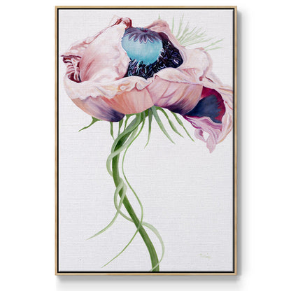 Paris Poppy II - Floater Framed Canvas Print