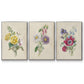 Antique Garden Bouquet I - Floater Framed Canvas Set