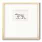 Neutral Pointer II Premium Framed Print Double Matboard