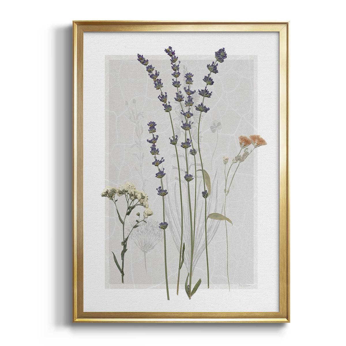 Field Study Page I - Modern Framed Canvas Print