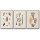 Knorr Shells & Coral IV - Framed Premium Gallery Wrapped Canvas L Frame 3 Piece Set - Ready to Hang