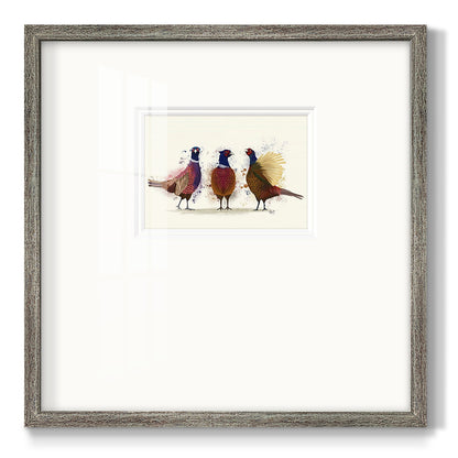 Pheasant Trio Premium Framed Print Double Matboard