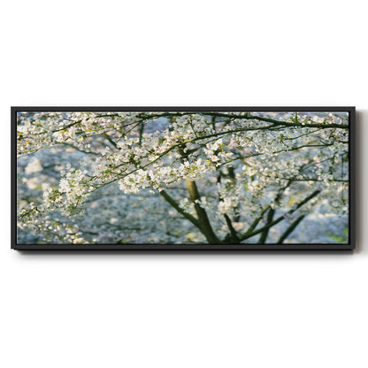 In All Your Glory - Floater Framed Canvas Print