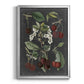 Orchard Varieties I - Modern Framed Canvas Print