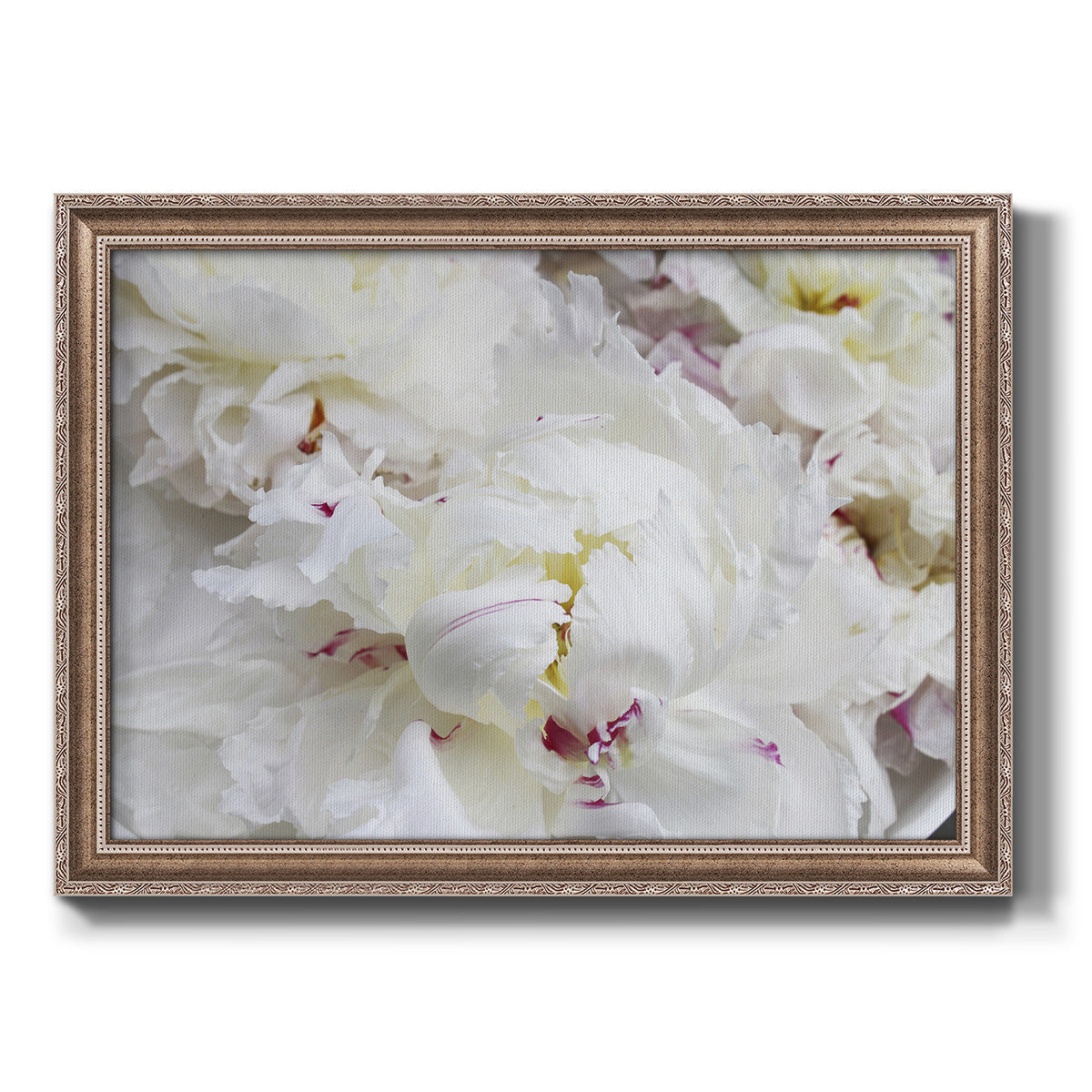 Breathless VI - Ornate Framed Canvas Print