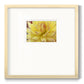 Blooms I- Premium Framed Print Double Matboard